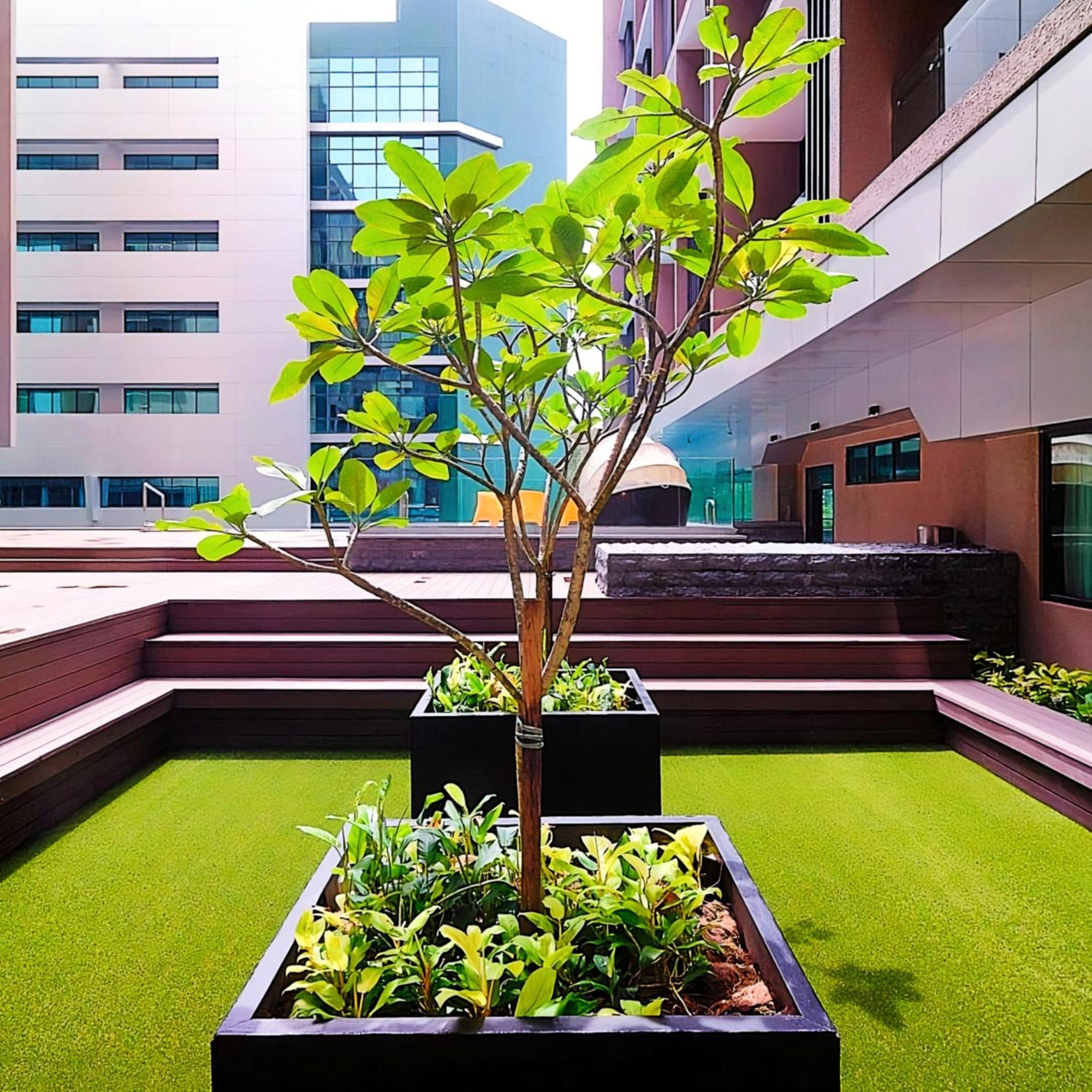 D'Casa Riverson At Kota Kinabalu Exterior photo